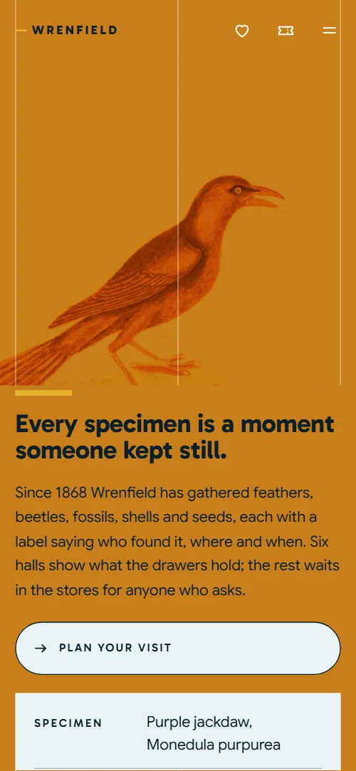 Museum website template: first screen on a phone
